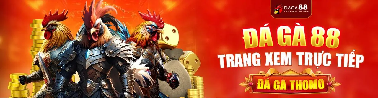 Đá gà trực tiếp tại kc88